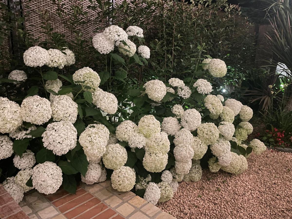 Borgata Cantone Bed and breakfast Garlenda