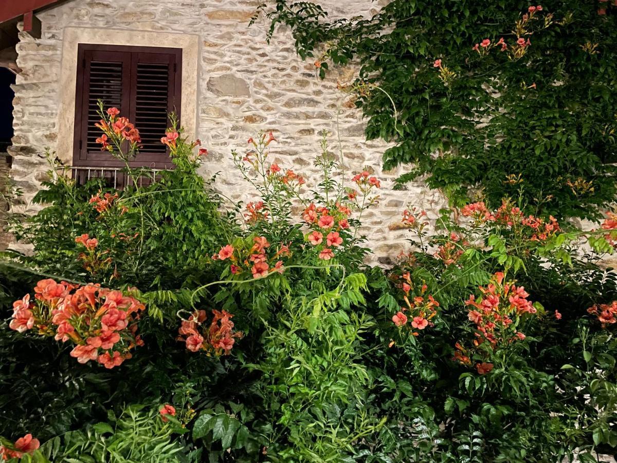 Borgata Cantone Garlenda