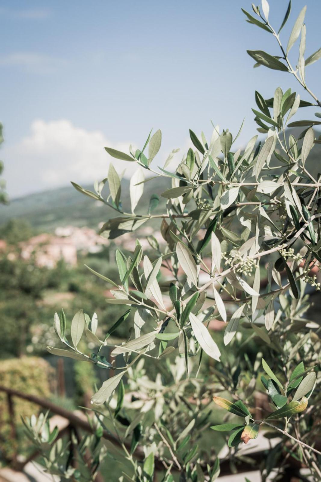 Borgata Cantone Country House